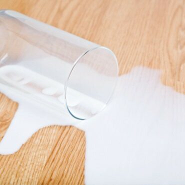 Spilled Milk on floor | Randy's Flooring