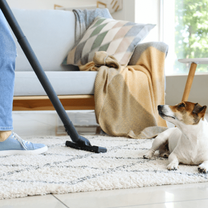 Area Rug Cleaning | Randy's Flooring